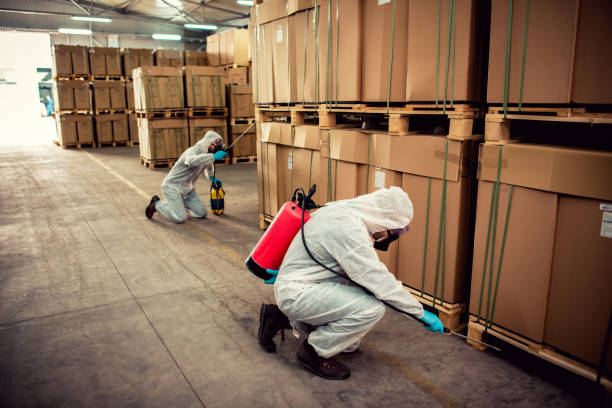 Best Pest Control Near Me  in Presidio, TX