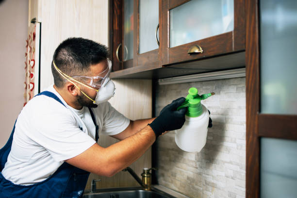 Best Wildlife Control Services  in Presidio, TX