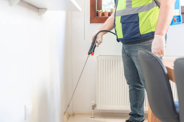 Best Ant Control Services  in Presidio, TX